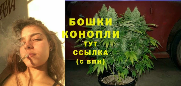 гидра Кинешма