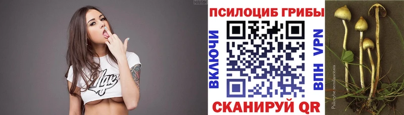 Купить  Наволоки  Галлюциногенные грибы Magic Shrooms 